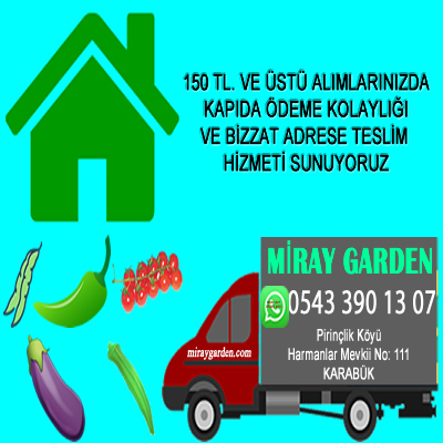 Ücretsiz Kargo Ücretsiz Kargo